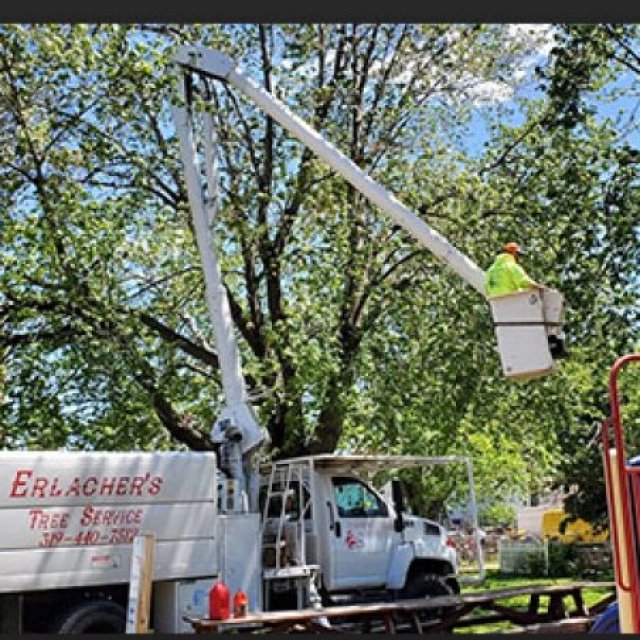 Erlacher's Tree Service
